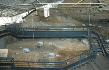 Xl vue de la stratigraphie du site de labri pataud museum national dhistoire naturelle