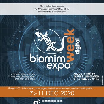Xl carre complet biomimexpo week