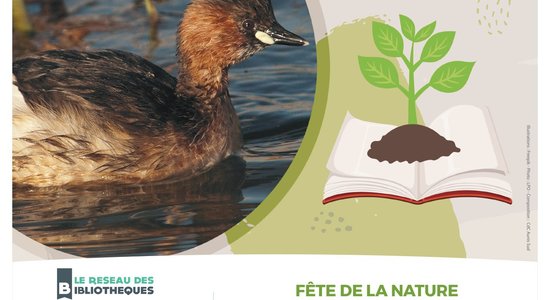 Lg rendez vous nature vdef page 0001
