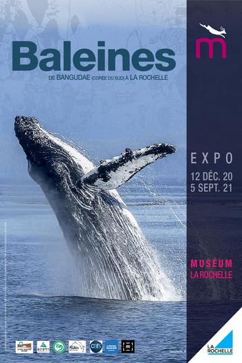 Xl baleine affiche 40x60 imprim page 001